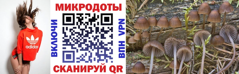 Галлюциногенные грибы Psilocybe  mega как войти  Вилюйск 